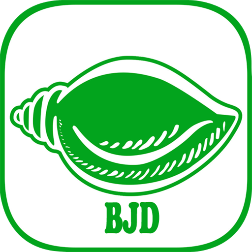 BJD 5